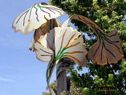 Sacred Ginkgo